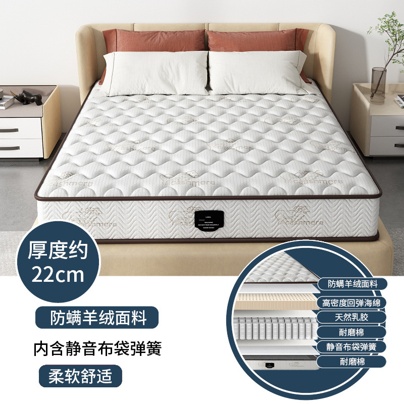 席梦思床垫家用卧室独立软垫弹簧床垫20cm厚1.5米租房专用硬椰棕|undefined