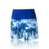 1013 Cailan