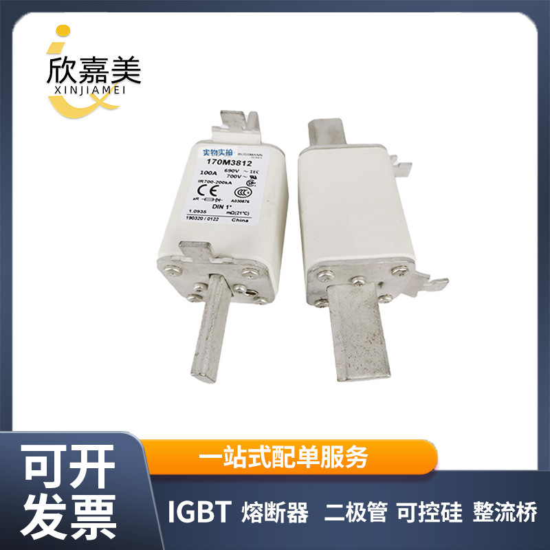全新快速熔断器170M3812 170M3813 170M3813D电子元器件现货直发