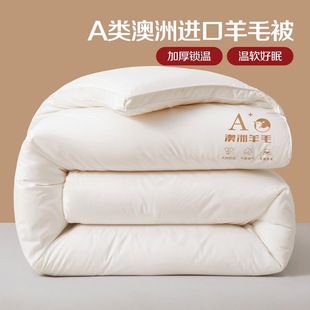 Australian Imported Wool Quilt Class a Wool Quilt Winter Thickeneded Warm Cotton Quilt Single and Double Spring & Fall Cashmere Quilt Core
