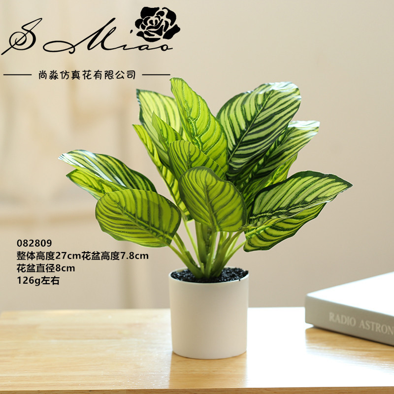 082809 plantas verdes en maceta ☆