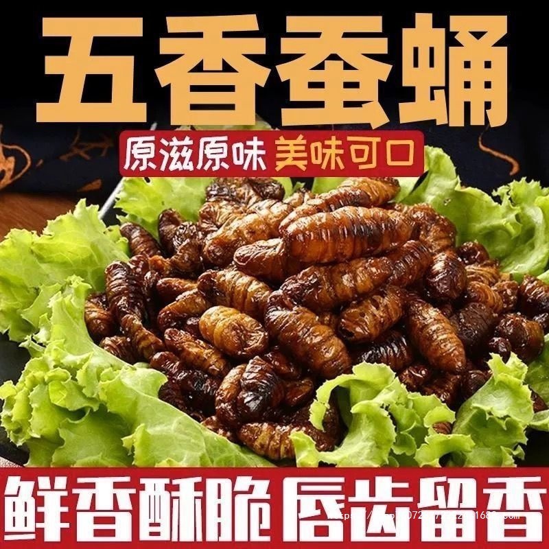 【超激安】シャンデン産のサクサクした蚕の蛹、すぐに食べられる、生の蚕の蛹の揚げ物、乾物|undefined