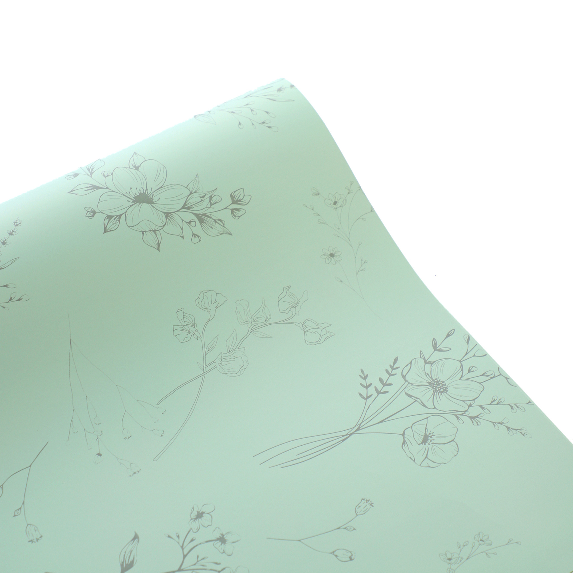 Pomelo verde; 56cm, 20 hojas