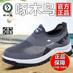 Woodpecker ブランド メッシュシューズ メンズ 紳士靴 クリアランス 夏 通気性 メッシュ 非蒸気足 滑り止め お父さん靴 ウォーキングシューズ
