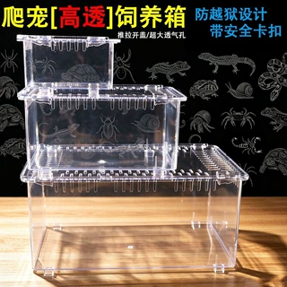 爬宠饲养箱乌龟缸带晒台躲避蜘蛛螃蟹角蛙守宫饲养盒蜗牛爬宠缸