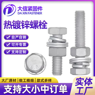 �F؛8.8������\��������˨����L��������\�F���ݽz�������