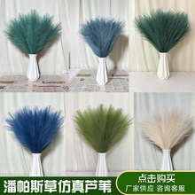 跨境款亚马逊ins风人造蒲苇 潘帕斯草狗尾草橱窗装饰仿真烟花芦苇