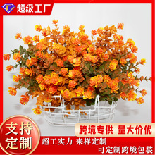 Rdֲﻨٻȼ軨c߼bl