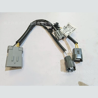 Peugeot 206 307 308 – Oil pump, nozzle