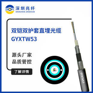 GYXTW53�p䓽z����ʽ�p�z�p�o��ֱ����| �ӽgʽ����䓎��z�b���|