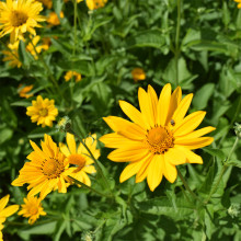 �չ�շN�Ӷ������ݱ�����������Ϟ�շN�ݾջ��̨�����׻��ײ��N