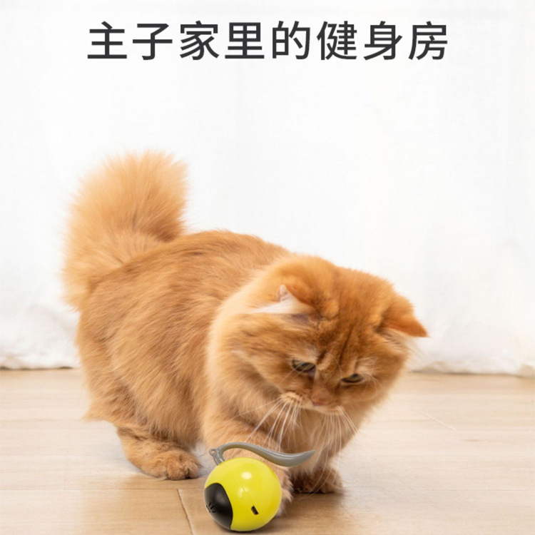 跨境新品亞馬遜可充電電動智能逗貓棒解悶自嗨玩具球魔球貓咪玩具