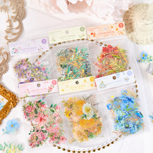ʰ��PET�N�������Ή���ϵ�� ͸������ֲ���֎�DIY�ز�ƴ�N�N��6��