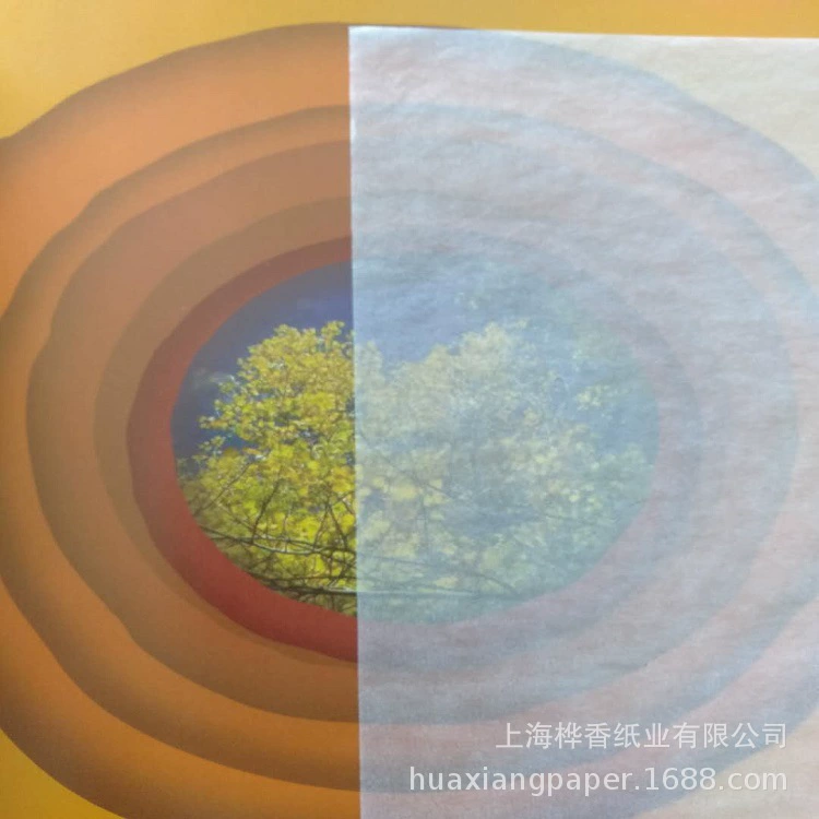 Масляная вощеная бумага полупрозрачная изоляционная подкладка Влагостойкая Бумага Одежда обувь и головные уборы еда овощи и фрукты упаковка 21 г вощеная бумага