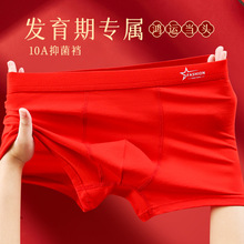 青少年大红男士内裤男童胖童纯棉内裤蛇年本命年发育期四角短裤