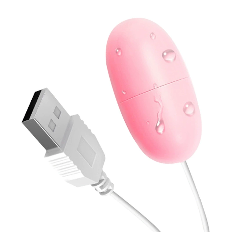 Juncai Huanguo USB однояйцевий вибрующий яйцо для женщин с переменной частотой вибратора электрическое мастурбационное устройство флирт прелюдия секс игрушки