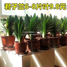 �ļ������m�����҃Ȏ���������ֲ�ﾫƷ�҃ȾGֲ���B�A�^���г���