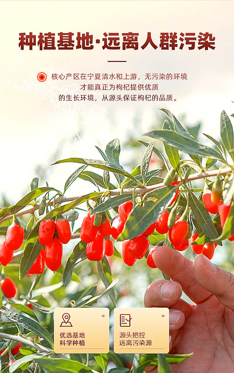 Ningxia Goji Berry Blend with Black Goji and Mulberry 750g Dried Herbal Tea Fruit Set details