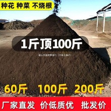 实惠真羊粪】斤纯羊粪肥农家肥养花种菜半斤发酵有机肥花肥其他