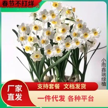 һ�����lˮ�ɻ��N�������ذ���ˮ�ɴ����������ܶ����҃��ͺ�ˮ�B