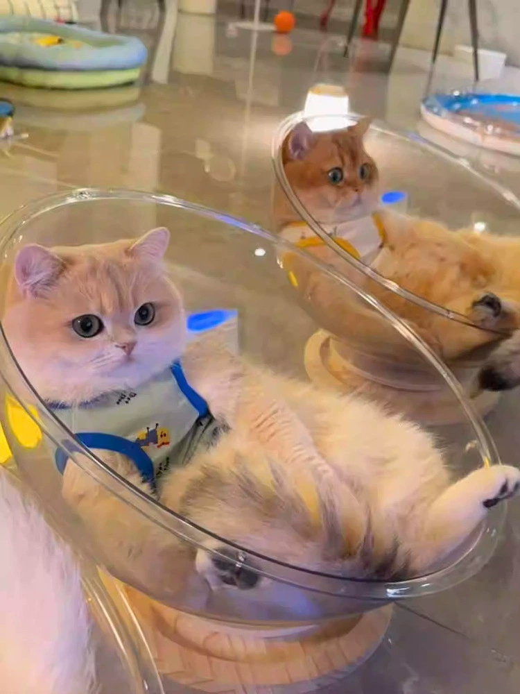 Кошачье гнездо-космическая капсула для всех сезонов, высокопрозрачный акриловый поворотный стол из цельного дерева, ледяное гнездо, игрушка для кошек, кошачья кровать все в одном