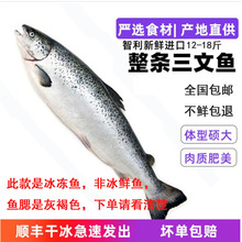 智利进口冷冻新鲜整条鱼寿司生鱼片包邮