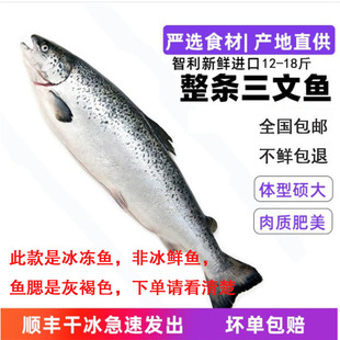 �����M��������r���l�~��˾���~Ƭ���]