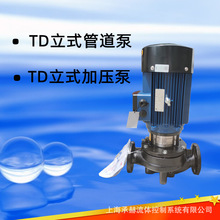 ʽܵTD40-30G/2偠tsoˮܵO380V