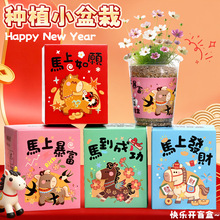 晓梦创意植物盲盒小盆栽儿童幼儿园种植花卉种子桌面绿植盆栽批发