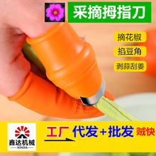 ���l�r��ժ������ָ���oָ����ժ������������ָ�ׄ���ժ��Ĵָ��