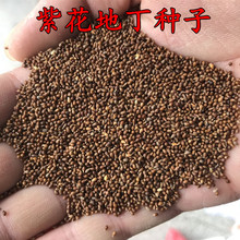 �ϻ��ض��N�Ӷ��������N����Ұ���˻����ļ��׻�ر����G�ͺ����