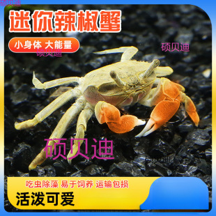 ���l��������з�ɻ��B�з�^�pз����з���x���嵭΢���^з������