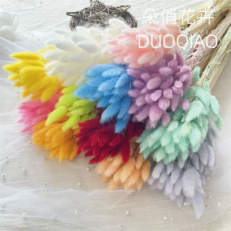兔尾草55-60支干花天然真花永生花diy田园风摆件家居装迷你永生花