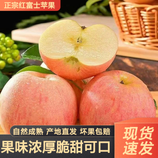 ���ڼt��ʿ�O��9��ˮ�����������r�Fժ��������ĳ��O��������]
