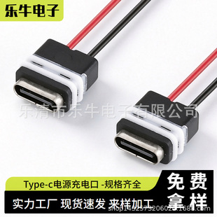 TYPE-C��ˮ����ע�ܷ�ˮȦĸ�� USB3.0��늽ӿ�ĸ�^���DC�����^