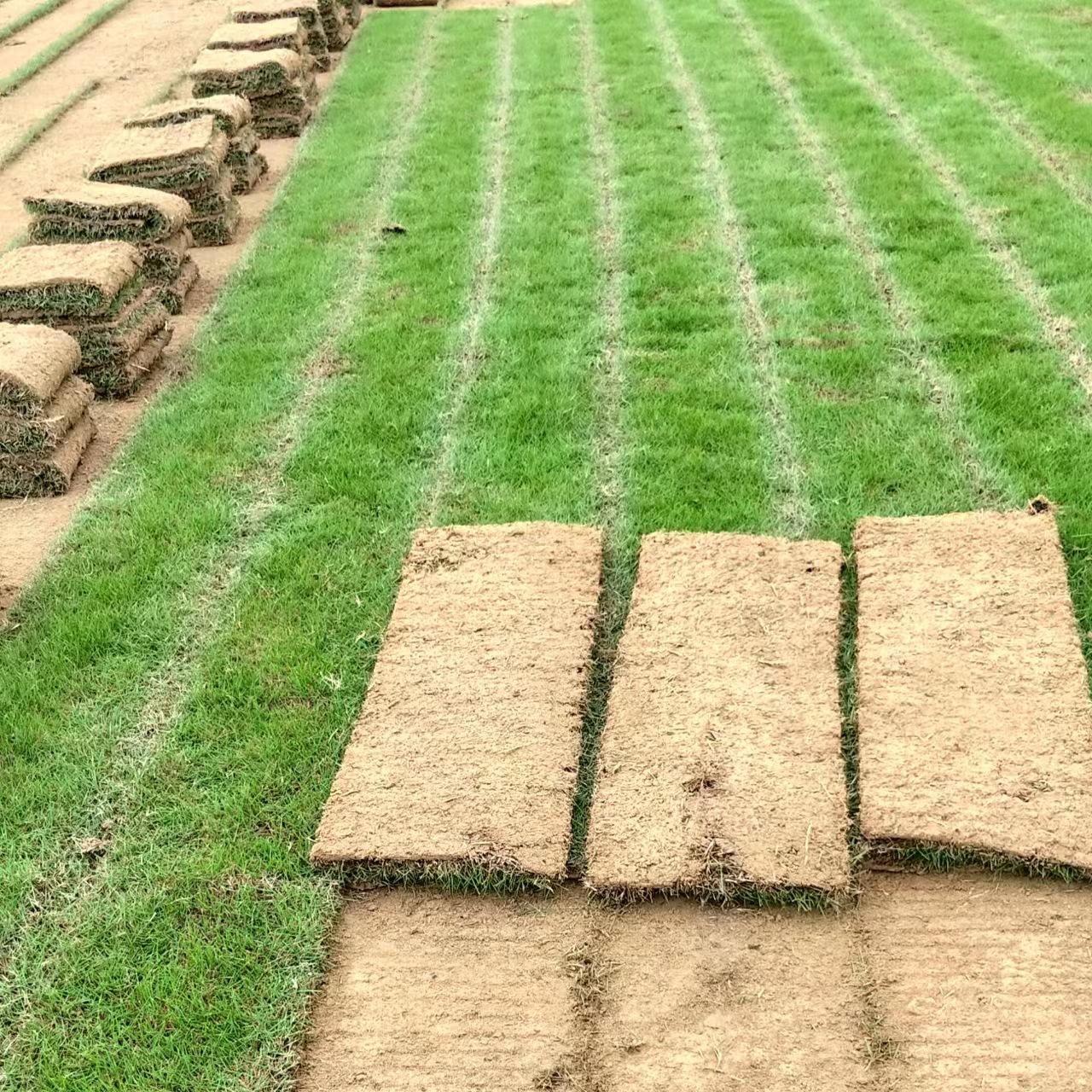 3b074b8882077a89ecf85a4f93f99a