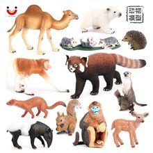 塑胶玩具仿真野生动物模型骆驼小熊猫小浣熊松鼠儿童启蒙认知摆件