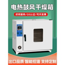 电热恒温鼓风干燥箱高温加热烘干箱高精度工业烤箱实验室烘箱医用