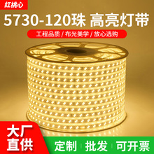 led灯带5730双排高压灯带软灯条120珠180珠家装吊顶户外防水220V