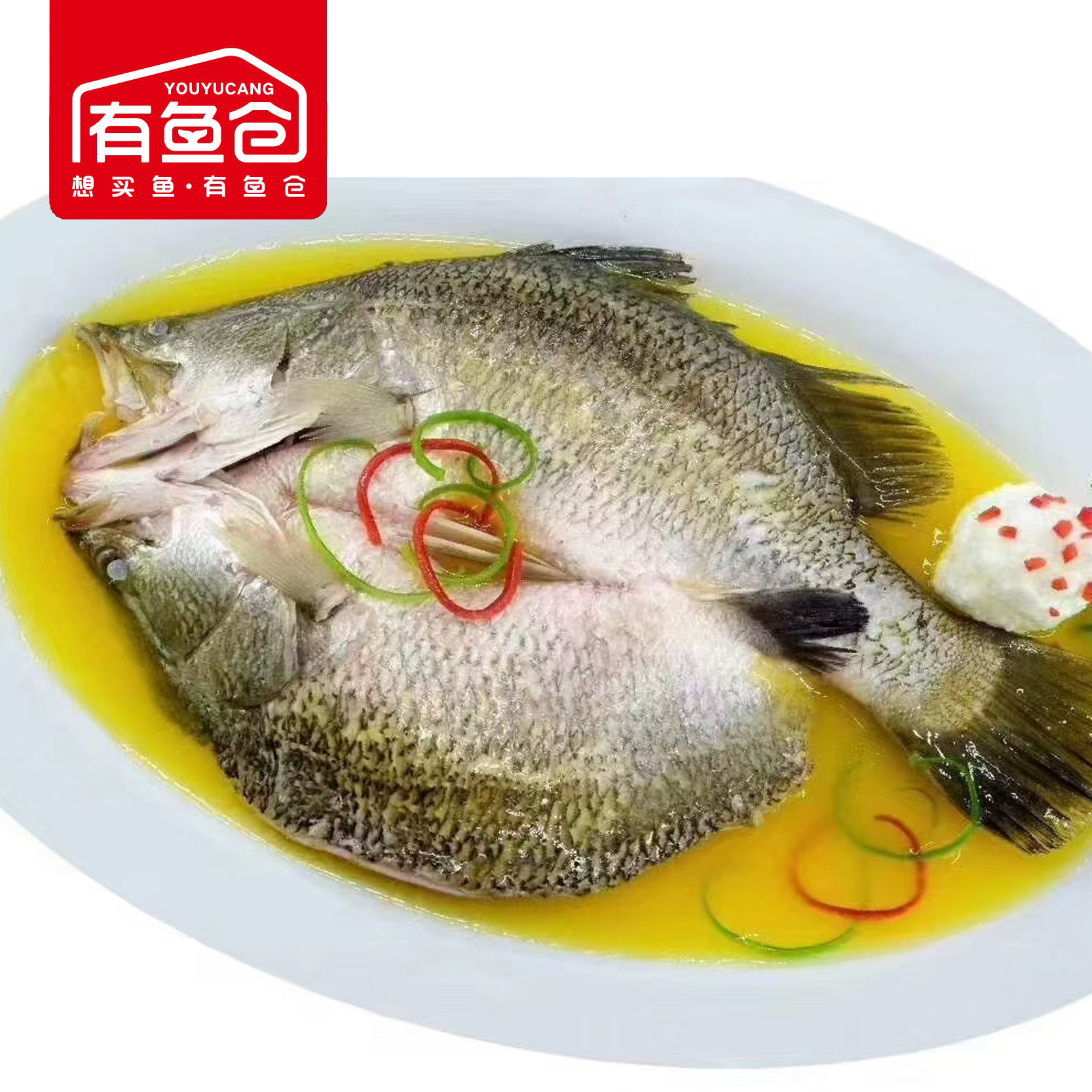 有鱼仓新鲜速冻金晶斑 游龙斑 金目鲈鱼 盲曹鱼酒店宴席商用批发