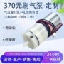 定制智能无刷微型气泵