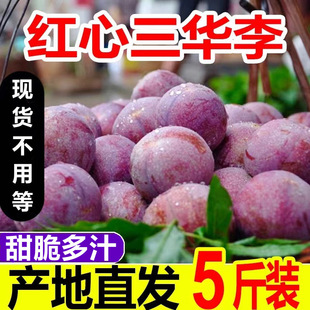 ���A�����r���ӬFժ�X�����A���ЋDˮ���t����ܽ����