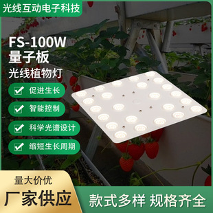 European Home Planting 100W Quantum Version Full Spectrum Imitation Sunlight Provides the Required Light for Plant Growth