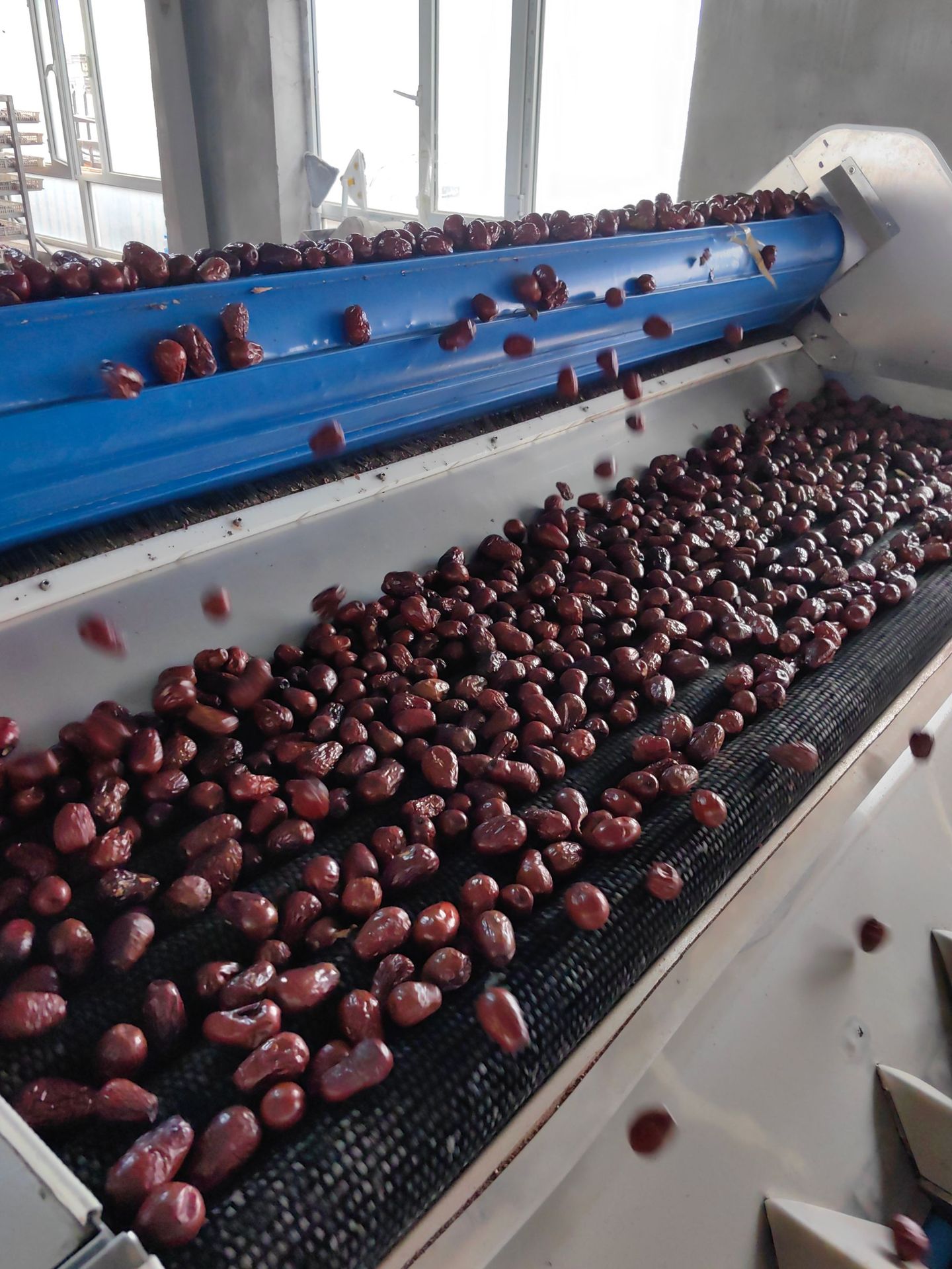 微信图片_20250405191524