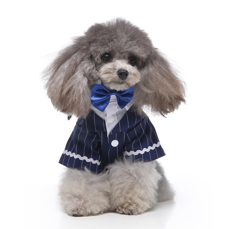 LF12 블루 스트라이프 보타이 턱시도