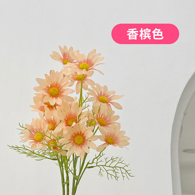 샴페인