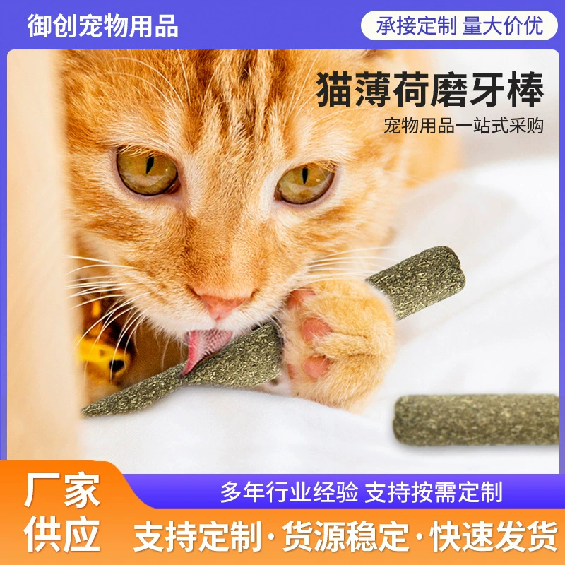 Кошачья мята Шлифовальная палочка Polygonum