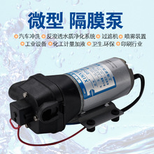 正品新西山DP-35DP-50微型隔膜增压泵清洗机增压泵RO膜高压隔膜泵