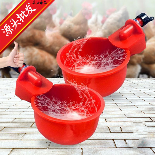 鸡鸭饮水器鸽子自动喝水碗家禽饮水槽塑料喂水碗养鸟设备厂家直销