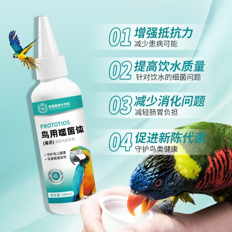 普欣諾鳥は菌体の緑の水のオウムで腸の肝臓の菌体の100mlのメーカーを調理して卸売りします。|undefined